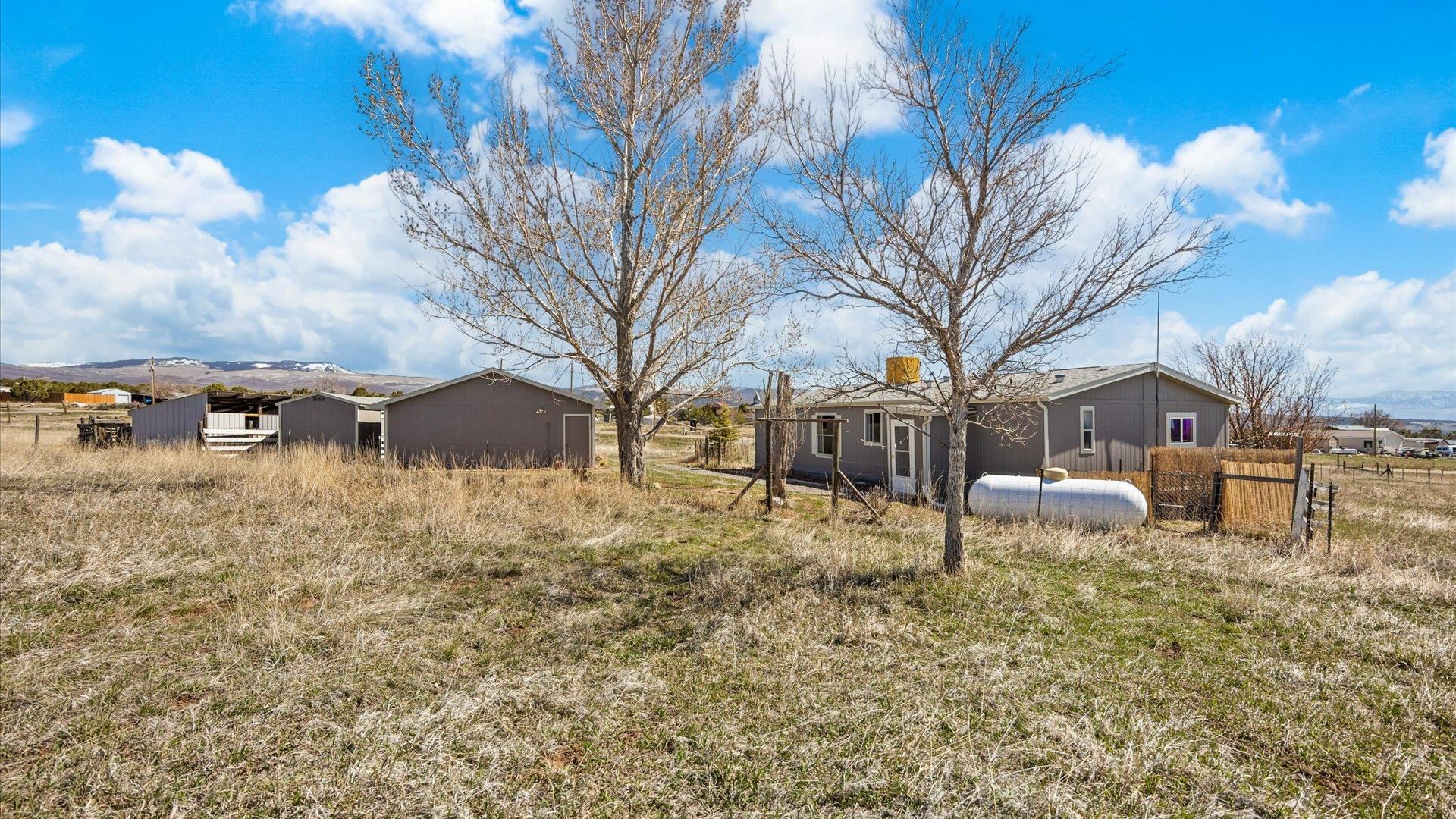 17177 Meadow Drive Cedaredge, CO 81413 - Photo 27 of 30