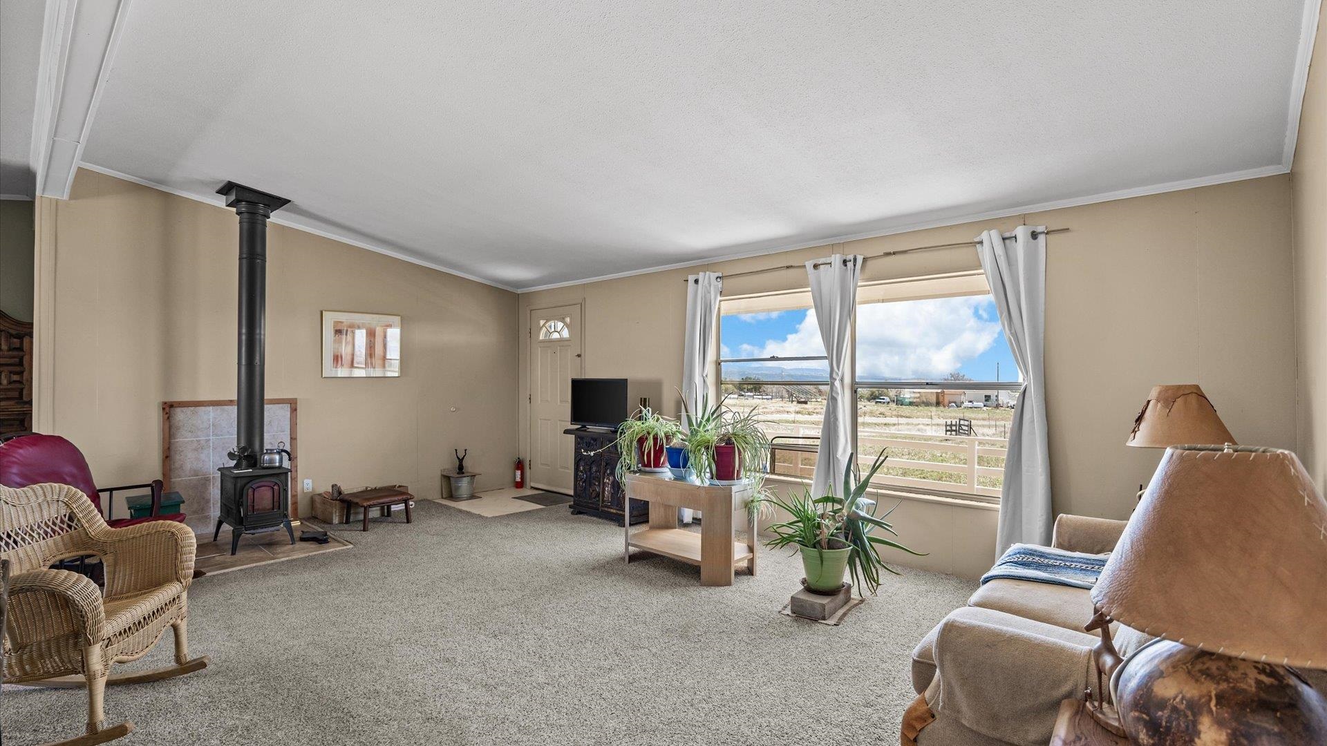 17177 Meadow Drive Cedaredge, CO 81413 - Photo 7 of 30