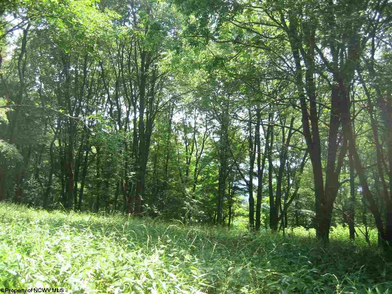 14 Pointy Knob Road Davis, WV 26260 - Photo 1 of 14 Gallery Image 1