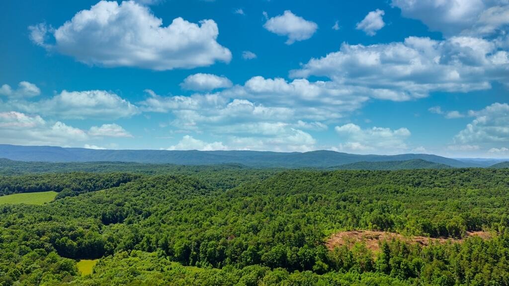 0 Dockery Road Tellico Plains, TN 37385 - Photo 17 of 37 Gallery Image 17
