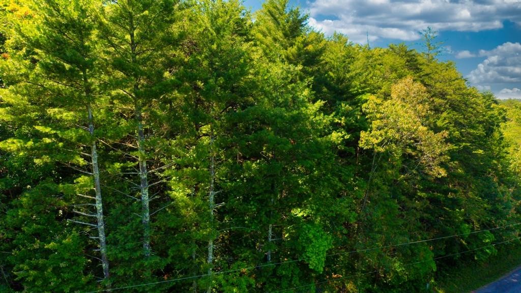 0 Dockery Road Tellico Plains, TN 37385 - Photo 19 of 37 Gallery Image 19
