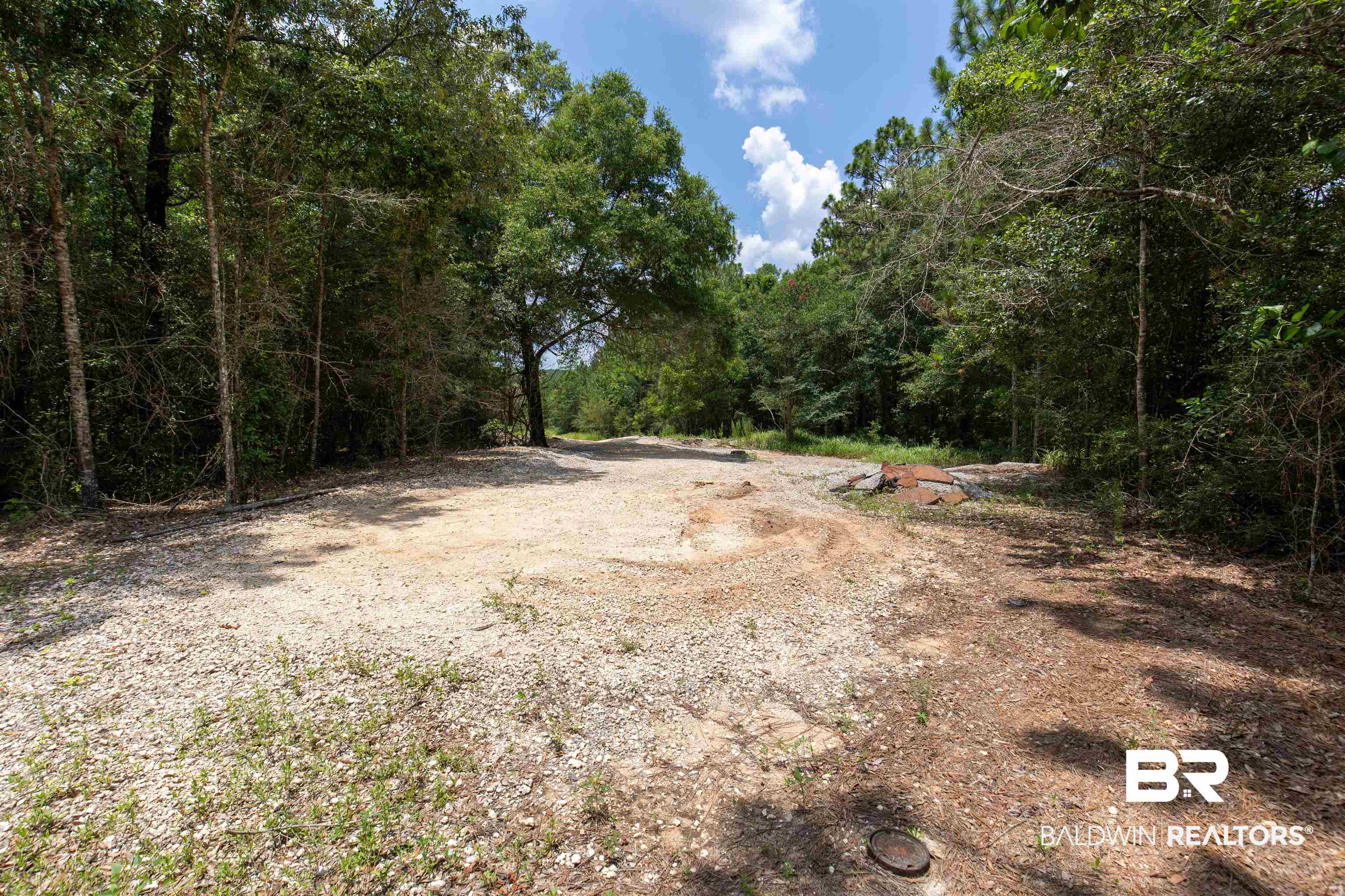 0 Schillinger Road Mobile, AL 36619 - Photo 9 of 25