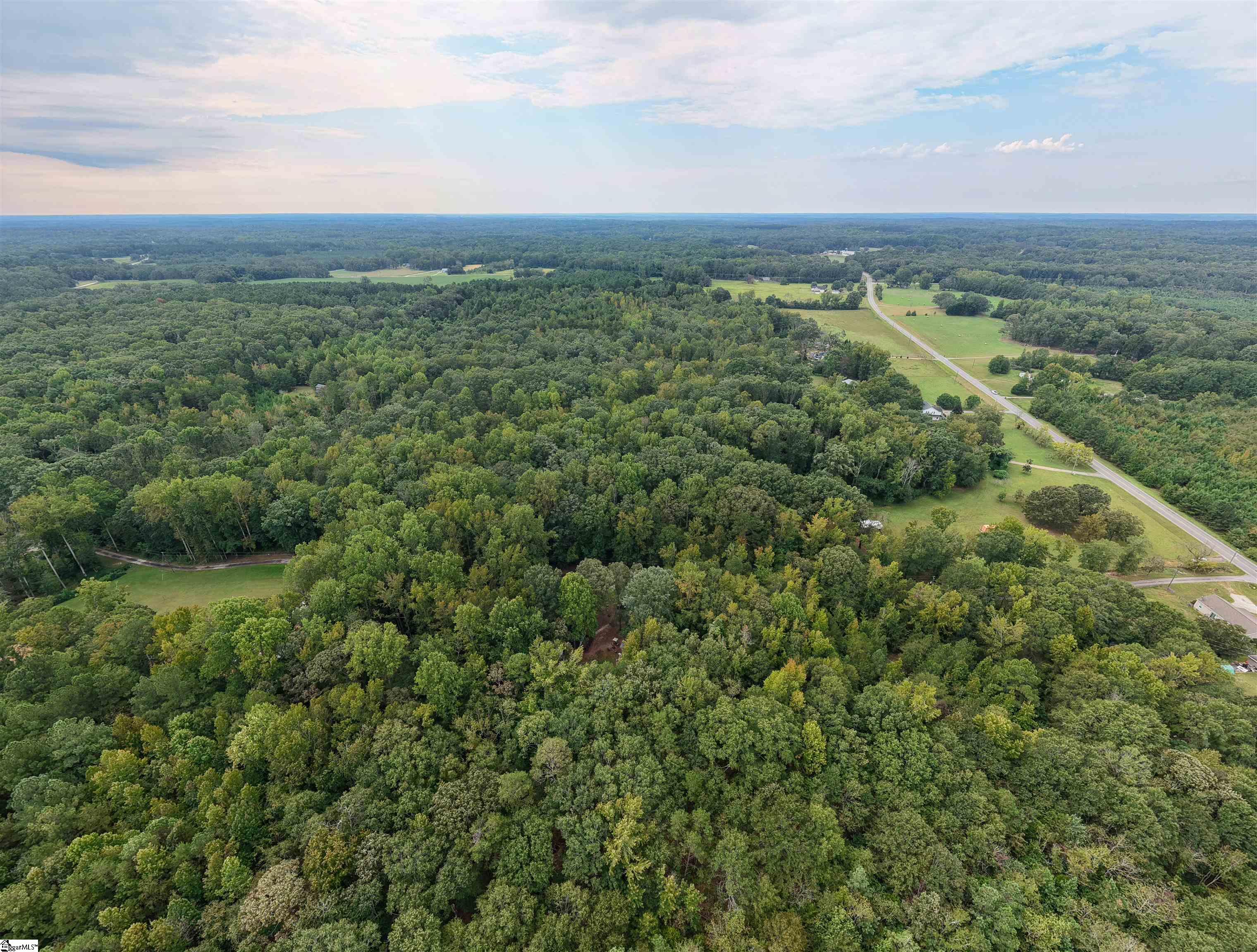 2205 Reedy Fork Road Pelzer, SC 29669 - Photo 11 of 12