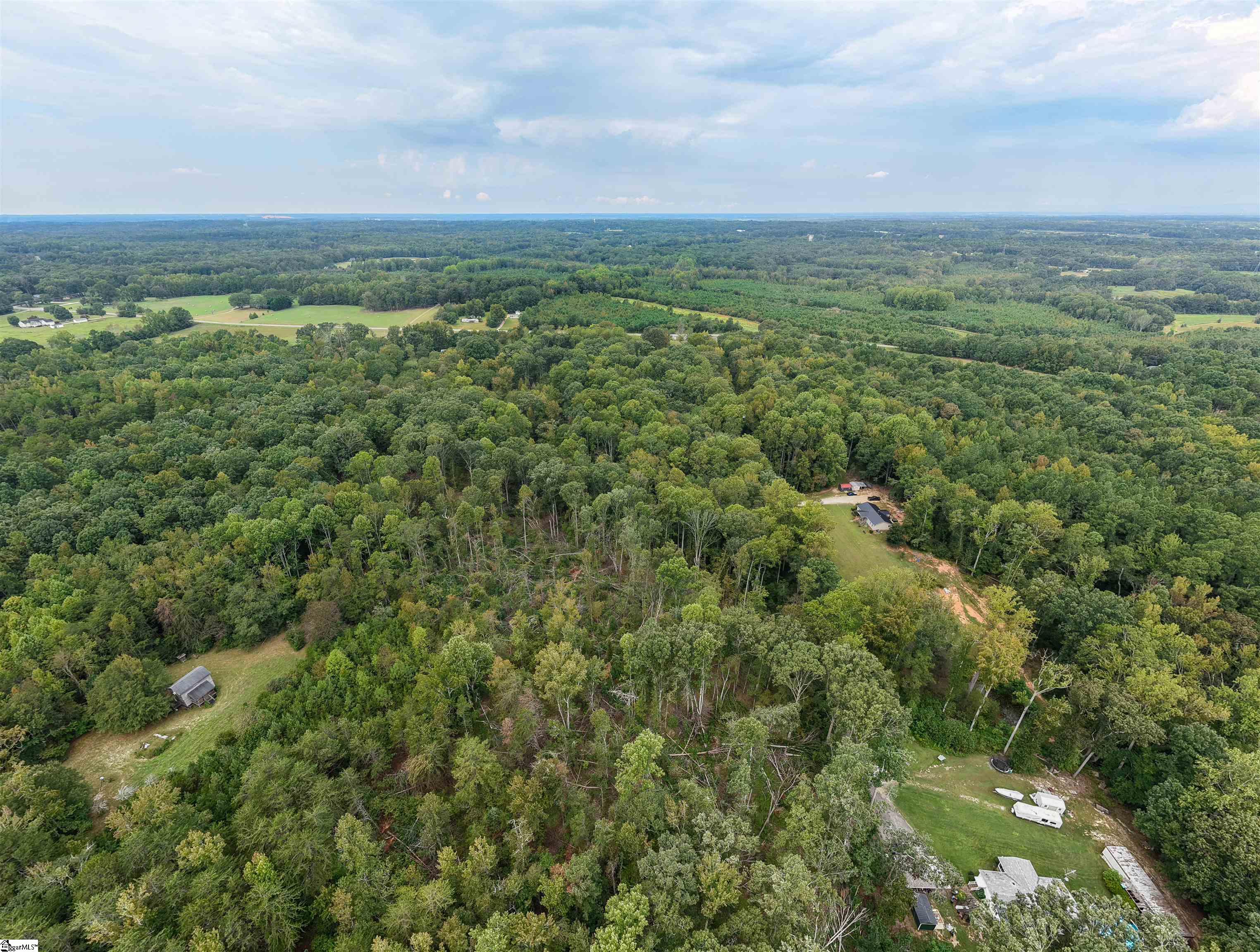 2205 Reedy Fork Road Pelzer, SC 29669 - Photo 9 of 12