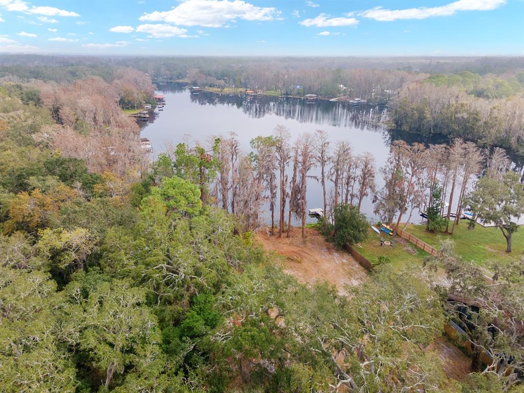 8547 Old Country Road Odessa, FL 33556 - Photo 3 of 10