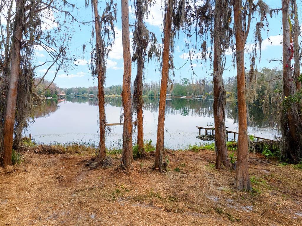 8547 Old Country Road Odessa, FL 33556 - Photo 6 of 10