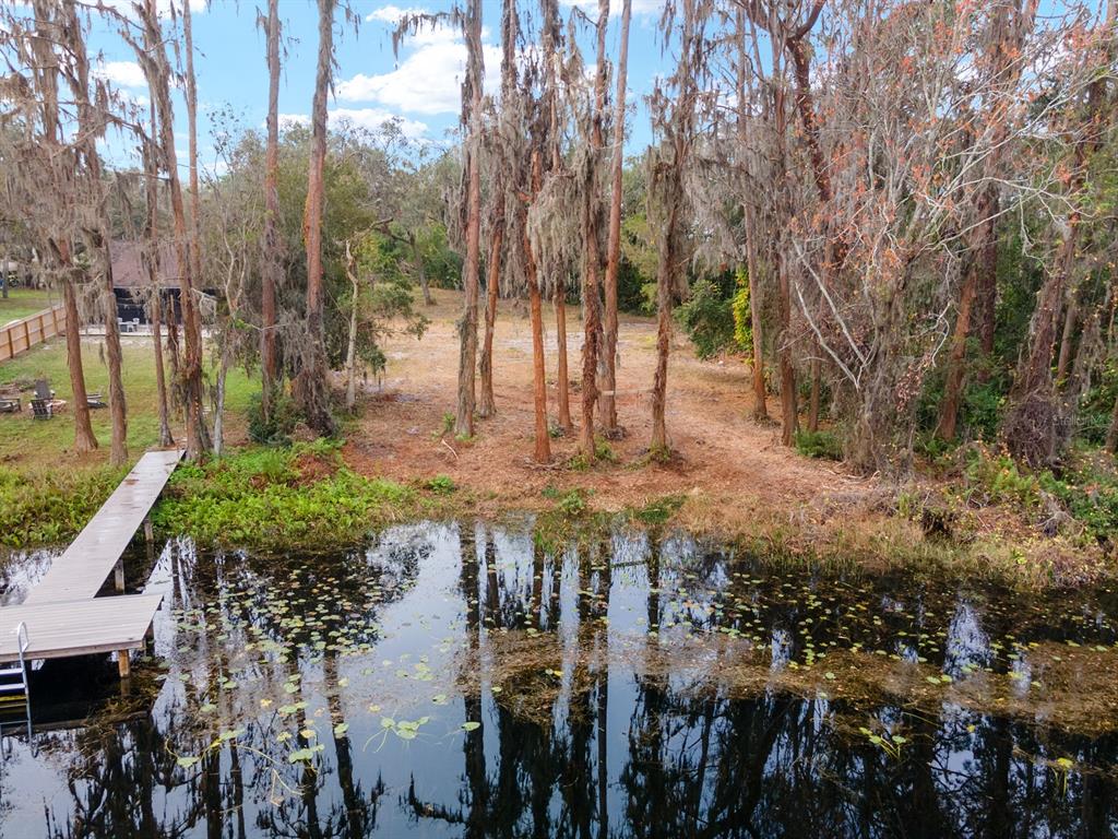 8547 Old Country Road Odessa, FL 33556 - Photo 8 of 10