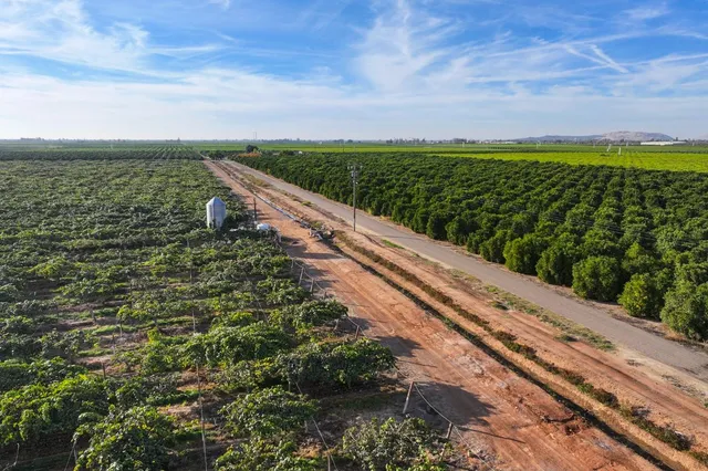 a view of a yard with an ocean view