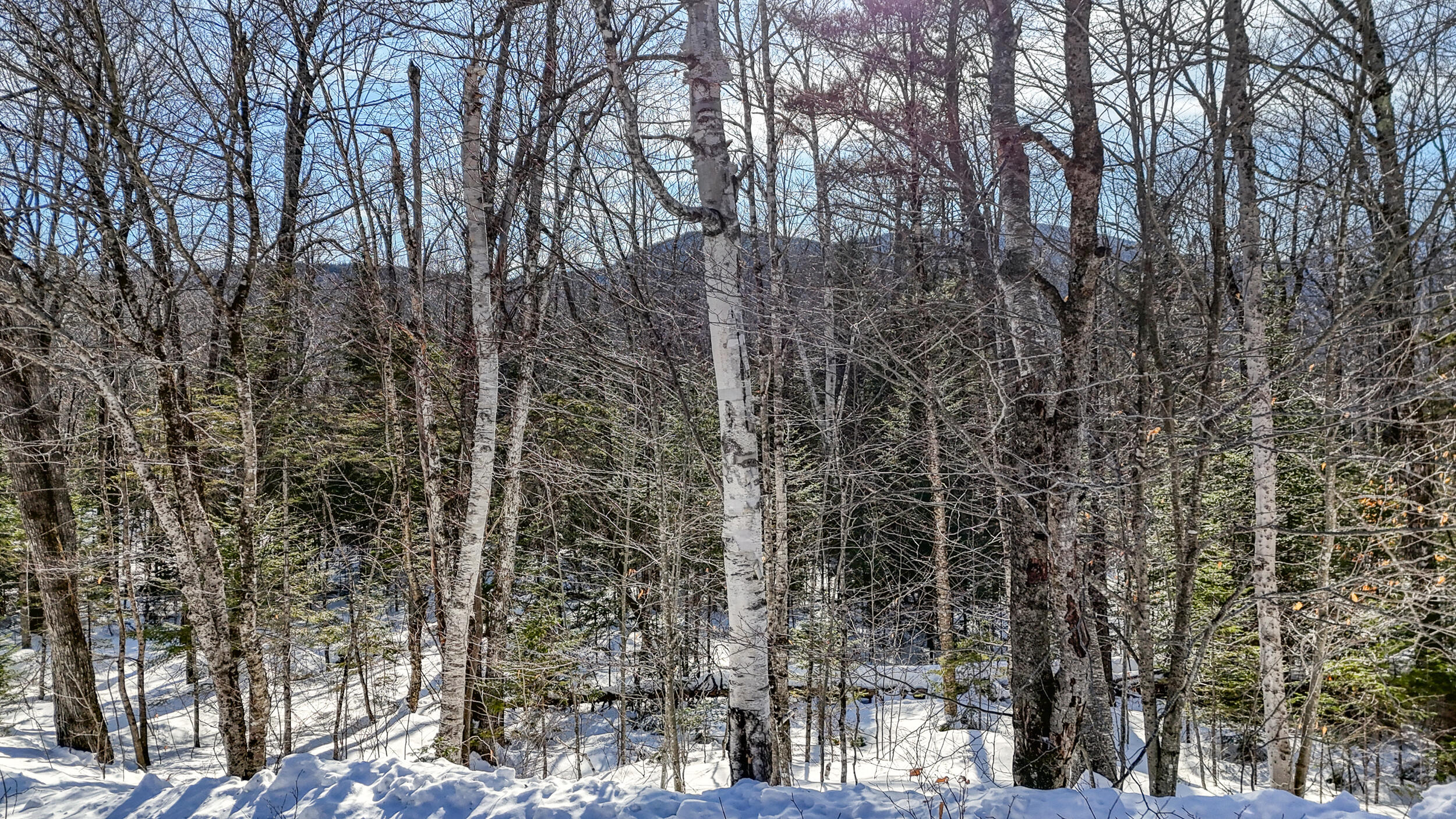 2032 Fox Hollow Road Carrabassett Valley, ME 04947 - Photo 3 of 14 110380ae-104