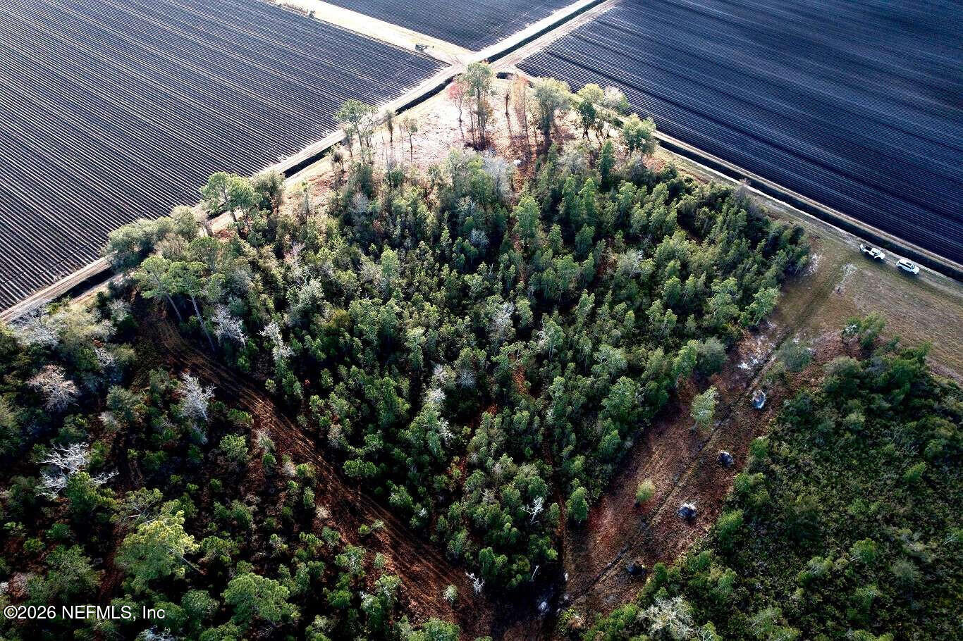 0 County Road 208 St. Augustine, FL 32092 - Photo 3 of 9 a view of a yard