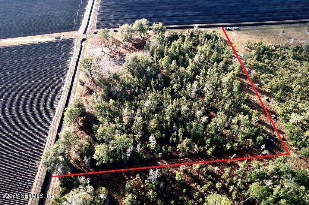 0 County Road 208 St. Augustine, FL 32092 - Photo 4 of 9