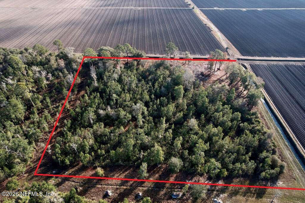 0 County Road 208 St. Augustine, FL 32092 - Photo 5 of 9