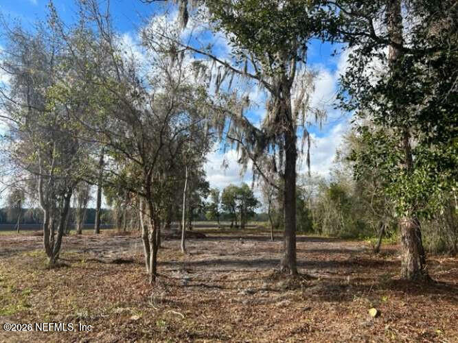 0 County Road 208 St. Augustine, FL 32092 - Photo 6 of 9 a view of a forest filled with trees
