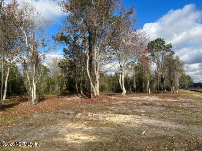 0 County Road 208 St. Augustine, FL 32092 - Photo 7 of 9 a backyard of a house with large trees