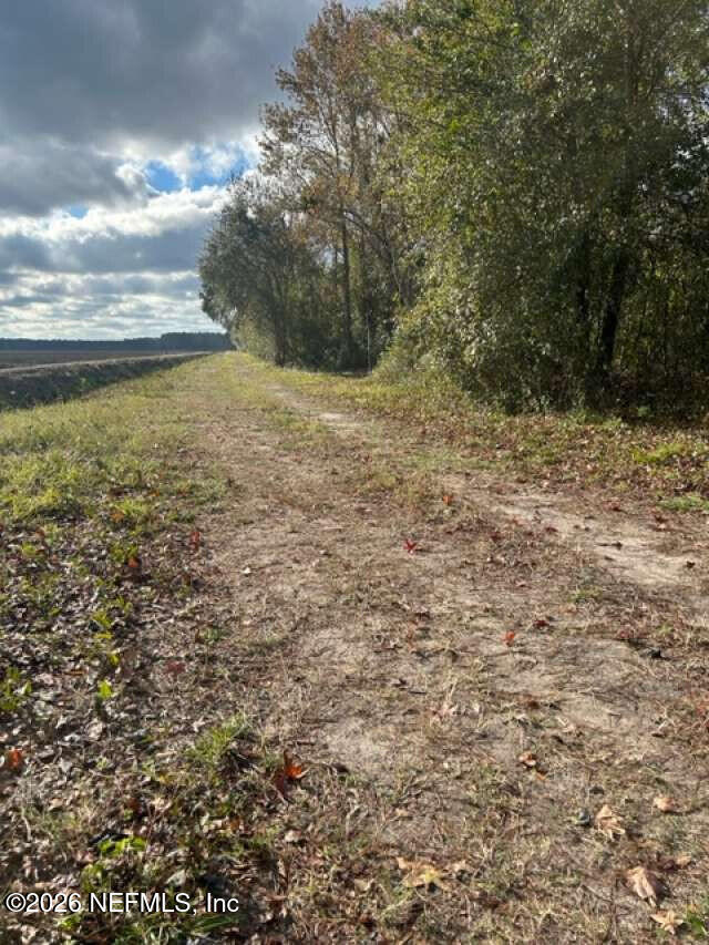 0 County Road 208 St. Augustine, FL 32092 - Photo 8 of 9 a view of a field with an trees