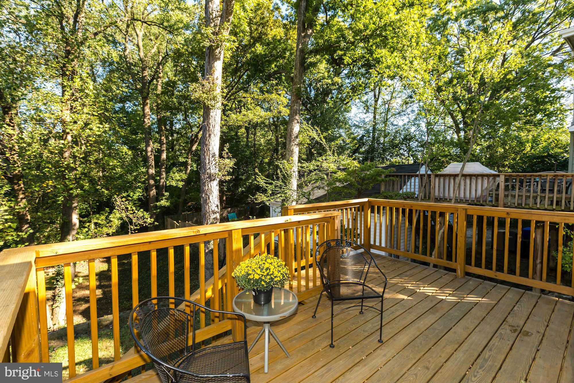 709 Silver Spring Avenue Silver Spring, MD 20910 - Photo 19 of 24 Rear Deck #1