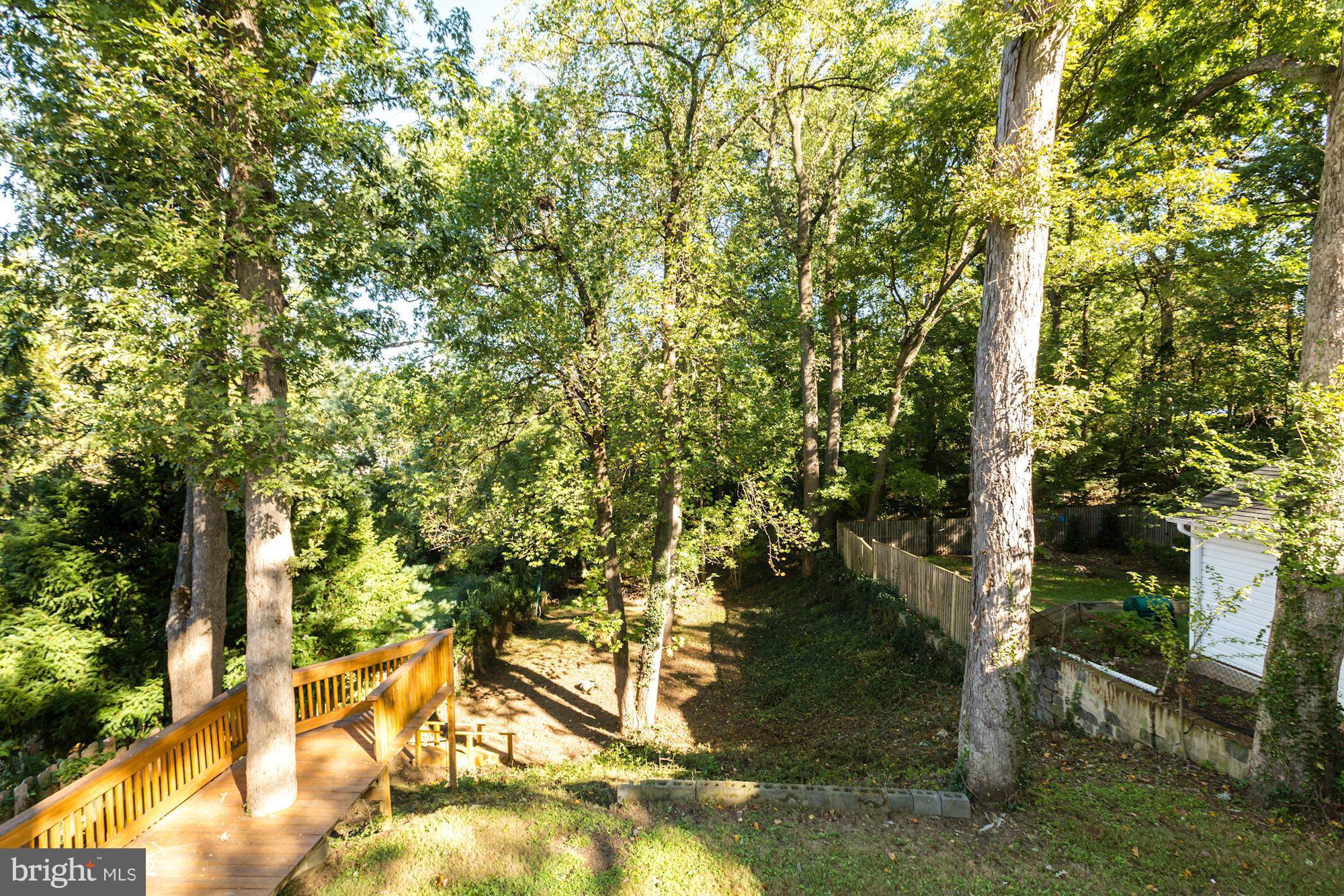 709 Silver Spring Avenue Silver Spring, MD 20910 - Photo 21 of 24 Lush grounds