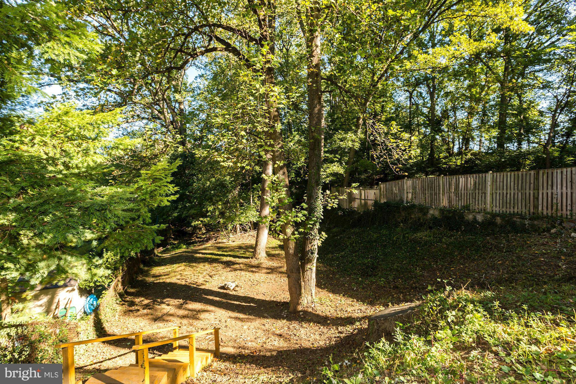 709 Silver Spring Avenue Silver Spring, MD 20910 - Photo 22 of 24 Lush grounds #2