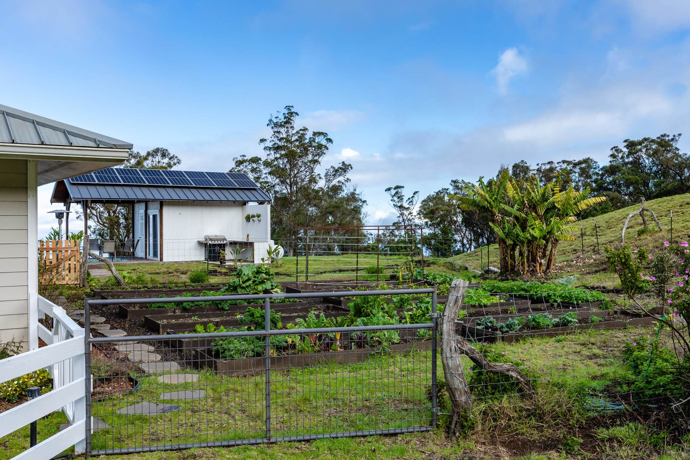 569 Hapapa Road Kula, HI 96790 - Photo 42 of 50 Gallery Image 42