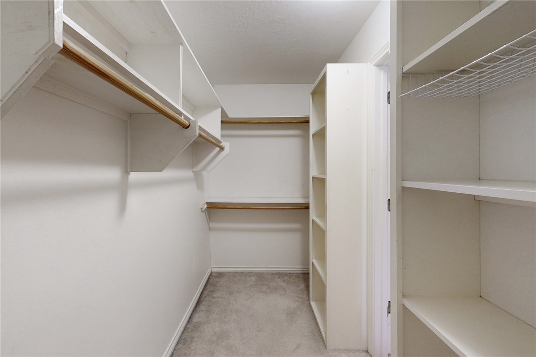 5901 Sheffield Terrace Lane Bryan, TX 77802 - Photo 17 of 31 Primary walk in closet with light carpet, plentiful shelving, and lots of room for storage
