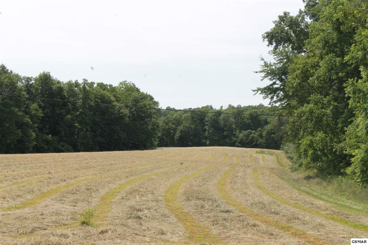 0 Jr Cox Road Lancing, TN 37770 - Photo 3 of 35 Gallery Image 3