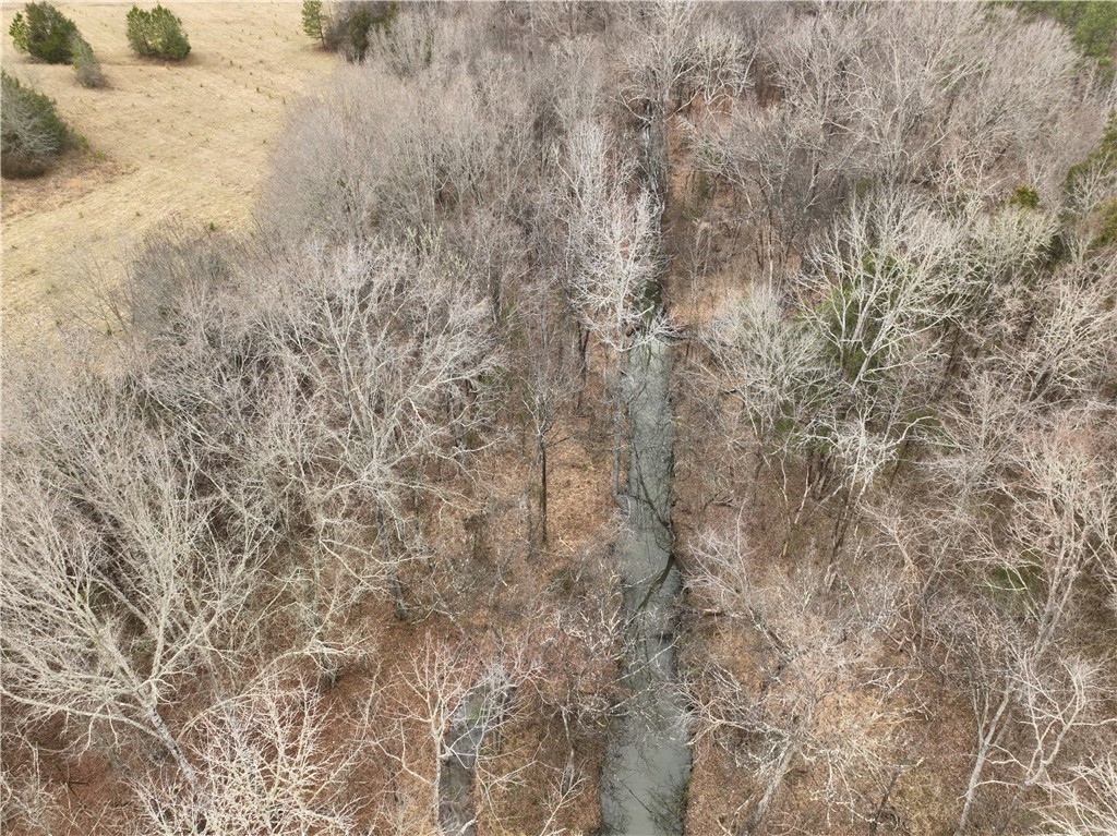 1 Seneca St Extension Calhoun Falls, SC 29628 - Photo 17 of 32 An aerial perspective reveals a serene stream winding through a natural, wooded landscape.