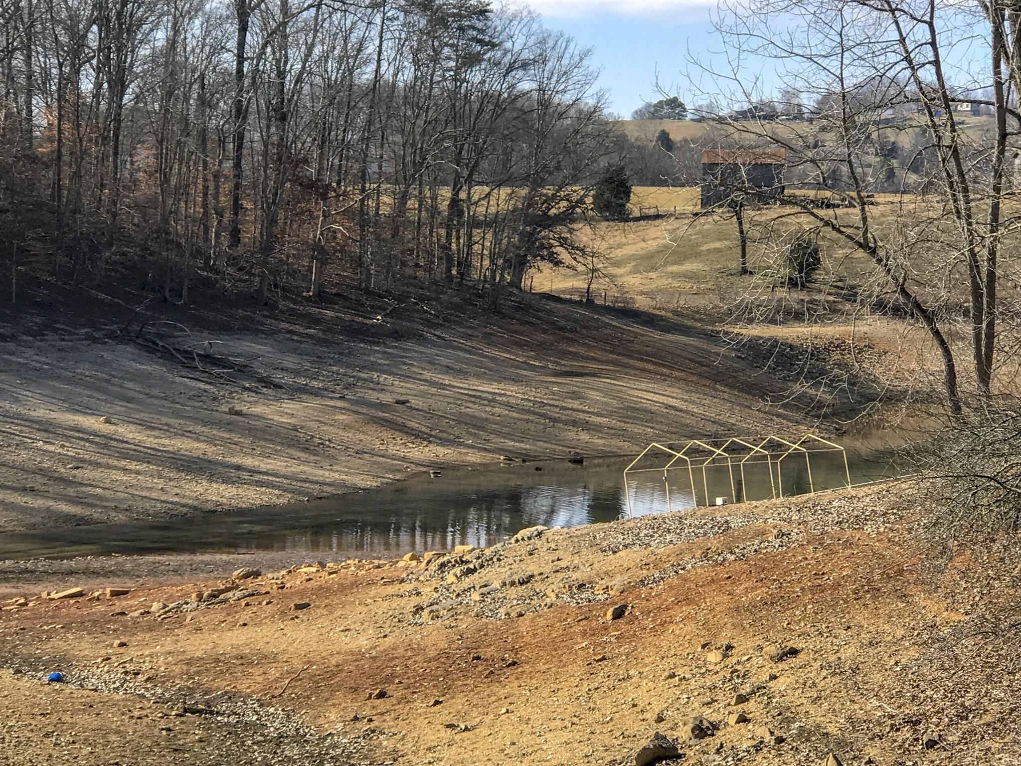 2273 Boat Dock Road Talbott, TN 37877 - Photo 3 of 9