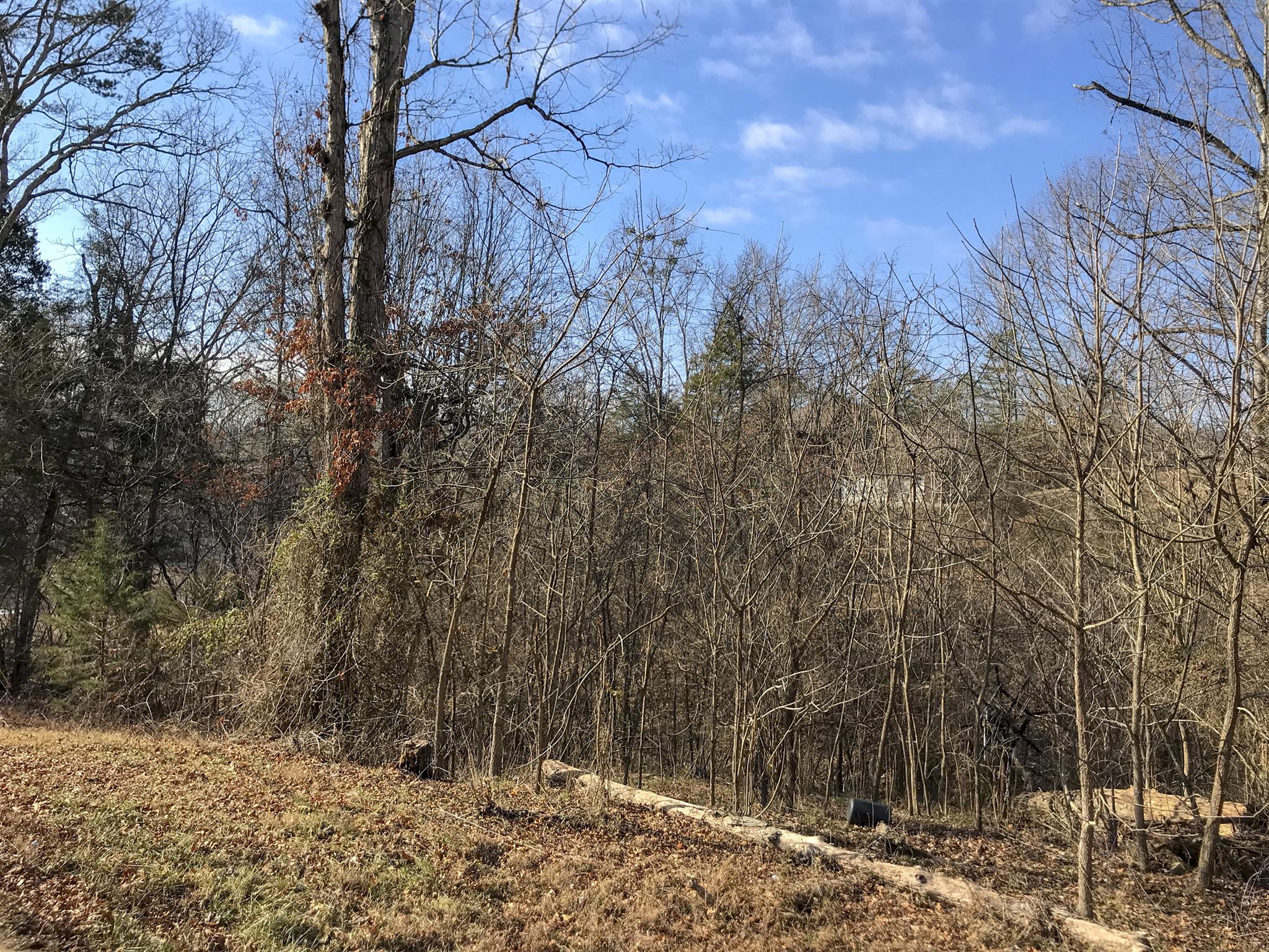 2273 Boat Dock Road Talbott, TN 37877 - Photo 5 of 9