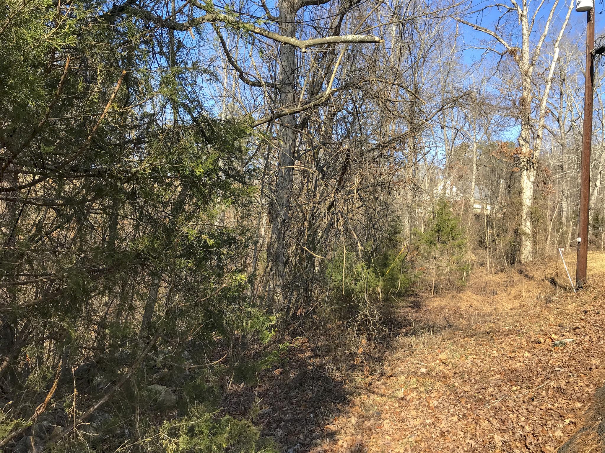 2273 Boat Dock Road Talbott, TN 37877 - Photo 8 of 9