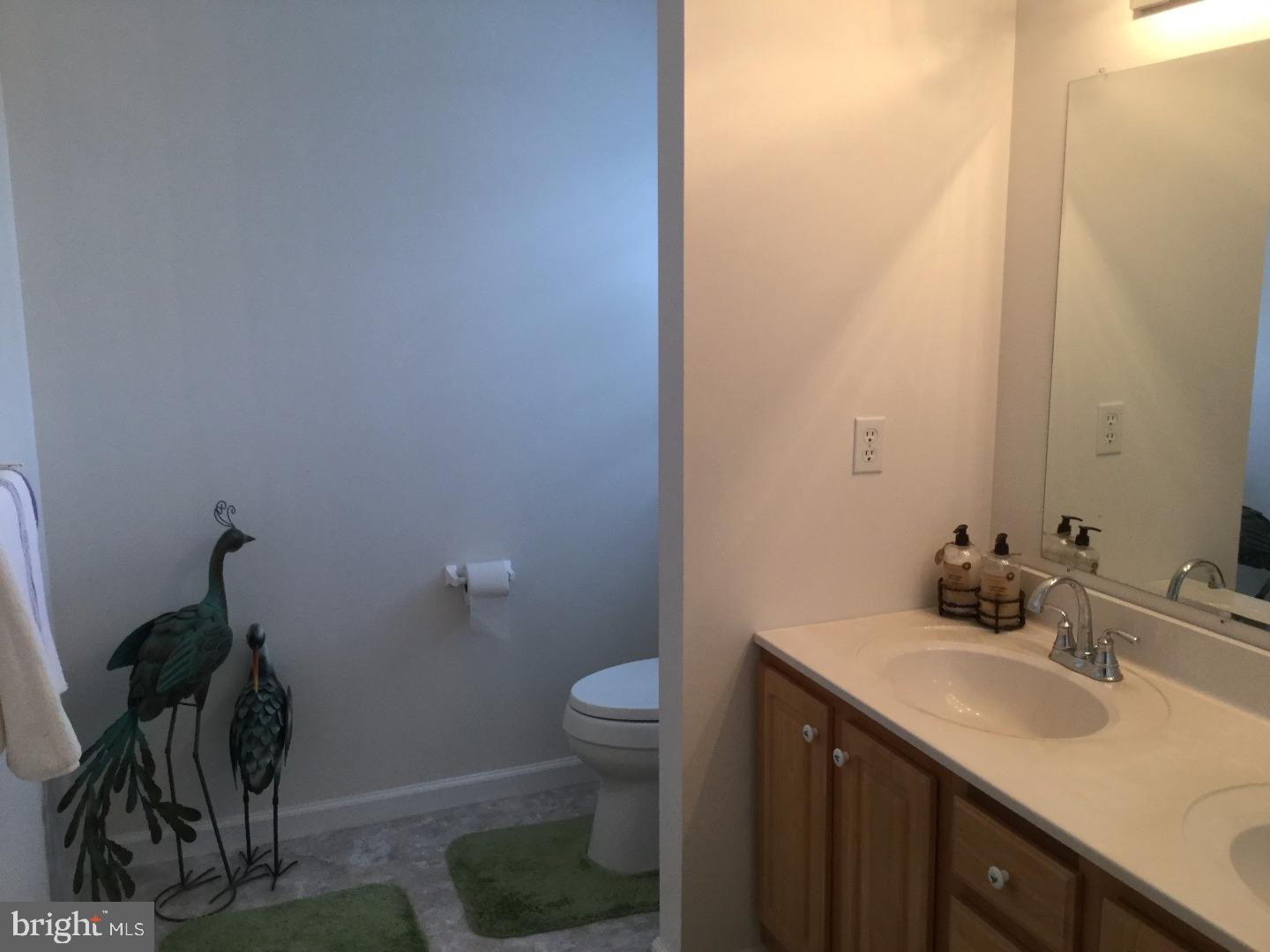 311 Thomas Corner Road Middletown, DE 19709 - Photo 14 of 25 Master Bathroom