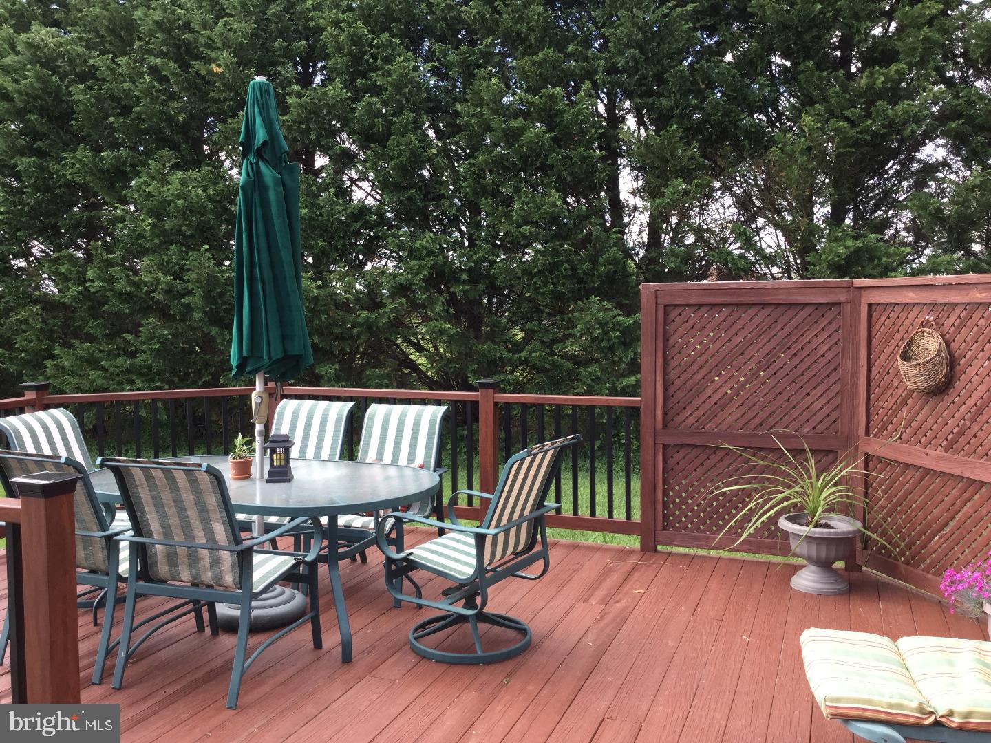 311 Thomas Corner Road Middletown, DE 19709 - Photo 23 of 25 Deck