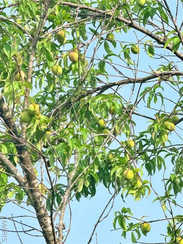 $149,900 | 11795 Highway East, Arcadia, MO 63621