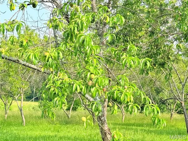 $149,900 | 11795 Highway East, Arcadia, MO 63621