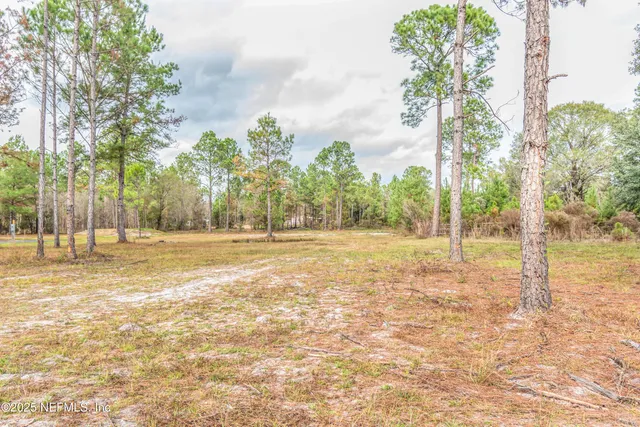 a view of dirt yard with a trees