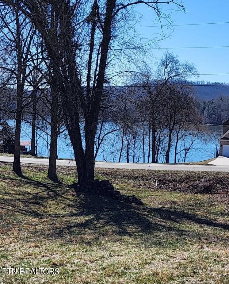 0 Emory River Road Harriman, TN 37748 - Photo 4 of 8 a view of a backyard with large trees