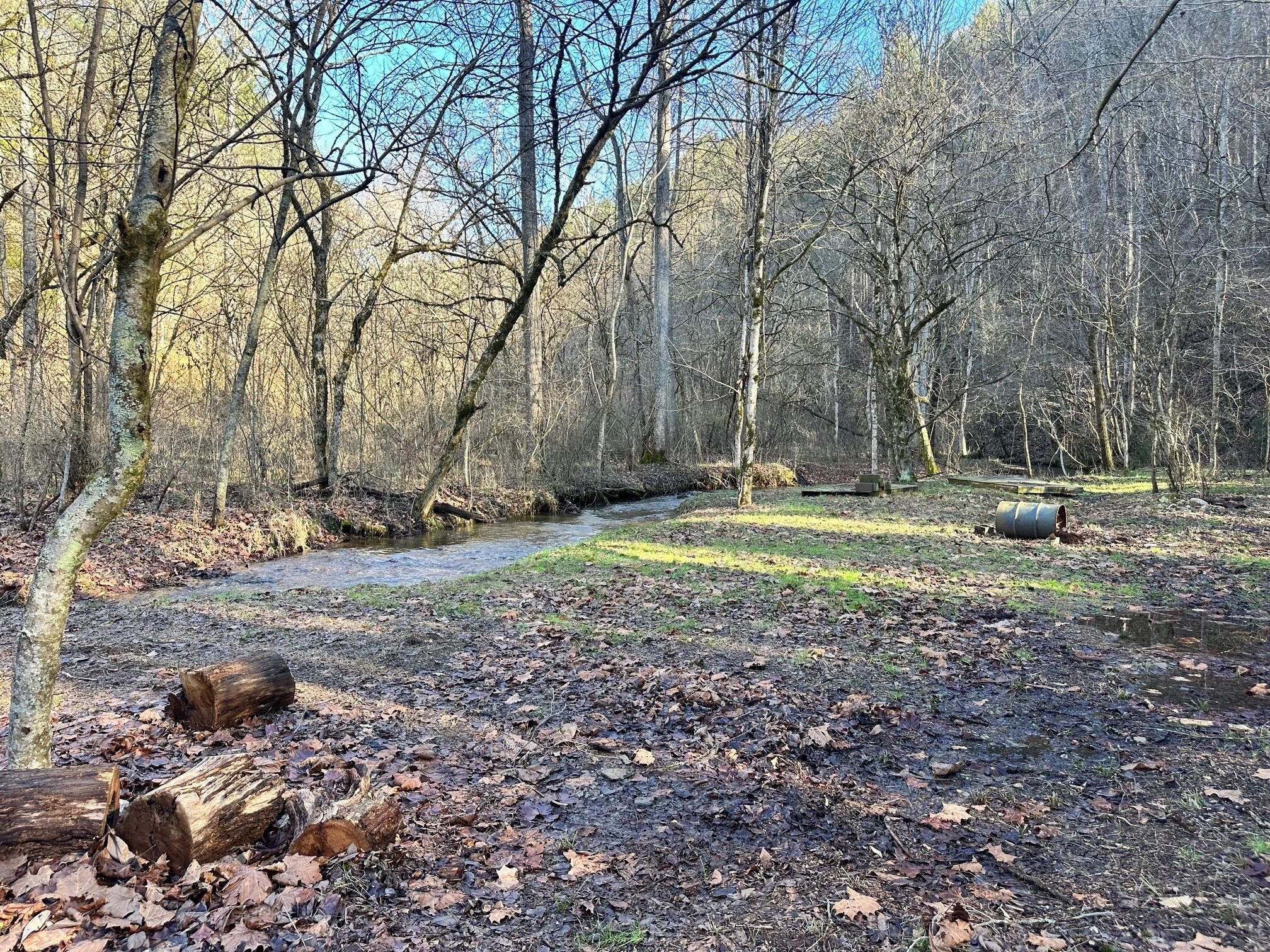 1670 Childers Creek Road Reliance, TN 37369 - Photo 9 of 12 Gallery Image 9