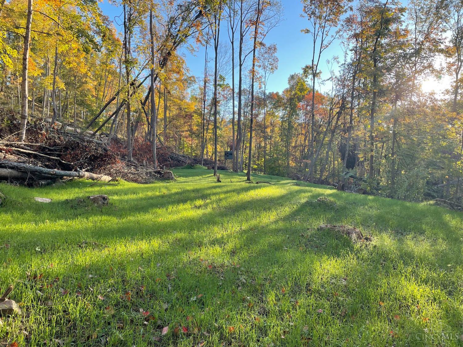 Ac Beech Fork Road Peebles, OH 45660 - Photo 22 of 49