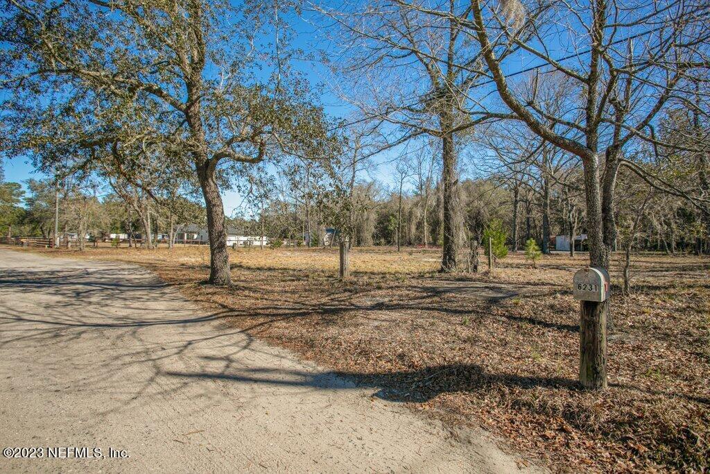 6231 Peacock Ridge Drive Jacksonville, FL 32221 - Photo 7 of 17 6231 Peacock Ridge (4).jpg-SMALL