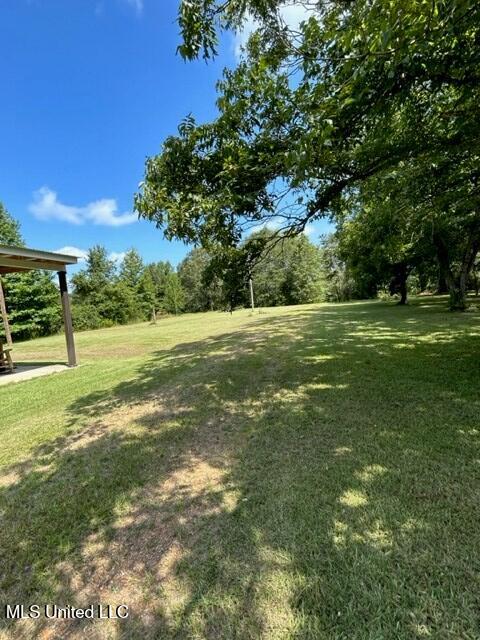 870 Silver Creek Road Crosby, MS 39633 - Photo 31 of 35 870 Silver Creek Rd Pic 29