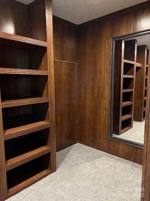 4832 Windy Ridge Road, Unit 2 Morganton, NC 28655 - Photo 32 of 41 a view of walk in closet with empty racks