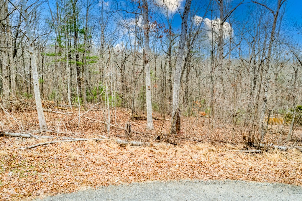 0 Windfield Circle Blue Ridge, GA 30513 - Photo 2 of 9