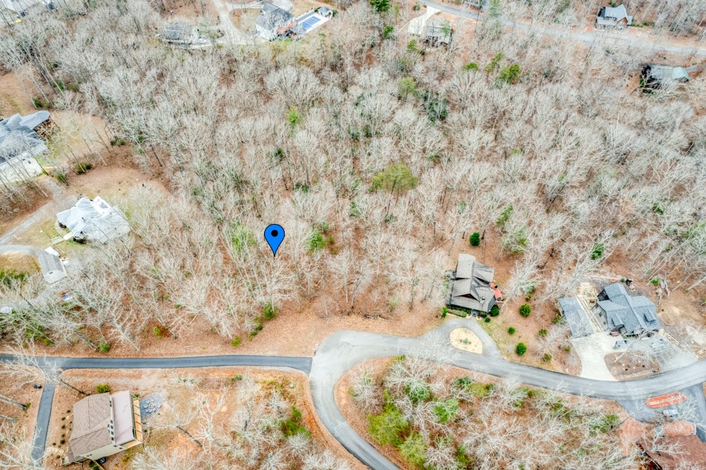 0 Windfield Circle Blue Ridge, GA 30513 - Photo 3 of 9