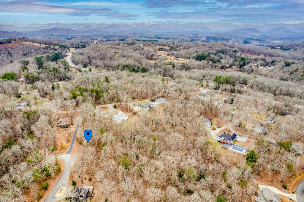 0 Windfield Circle Blue Ridge, GA 30513 - Photo 6 of 9