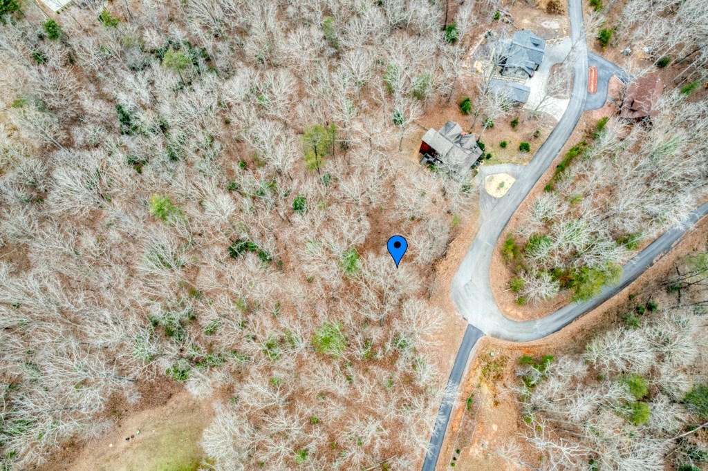 0 Windfield Circle Blue Ridge, GA 30513 - Photo 8 of 9