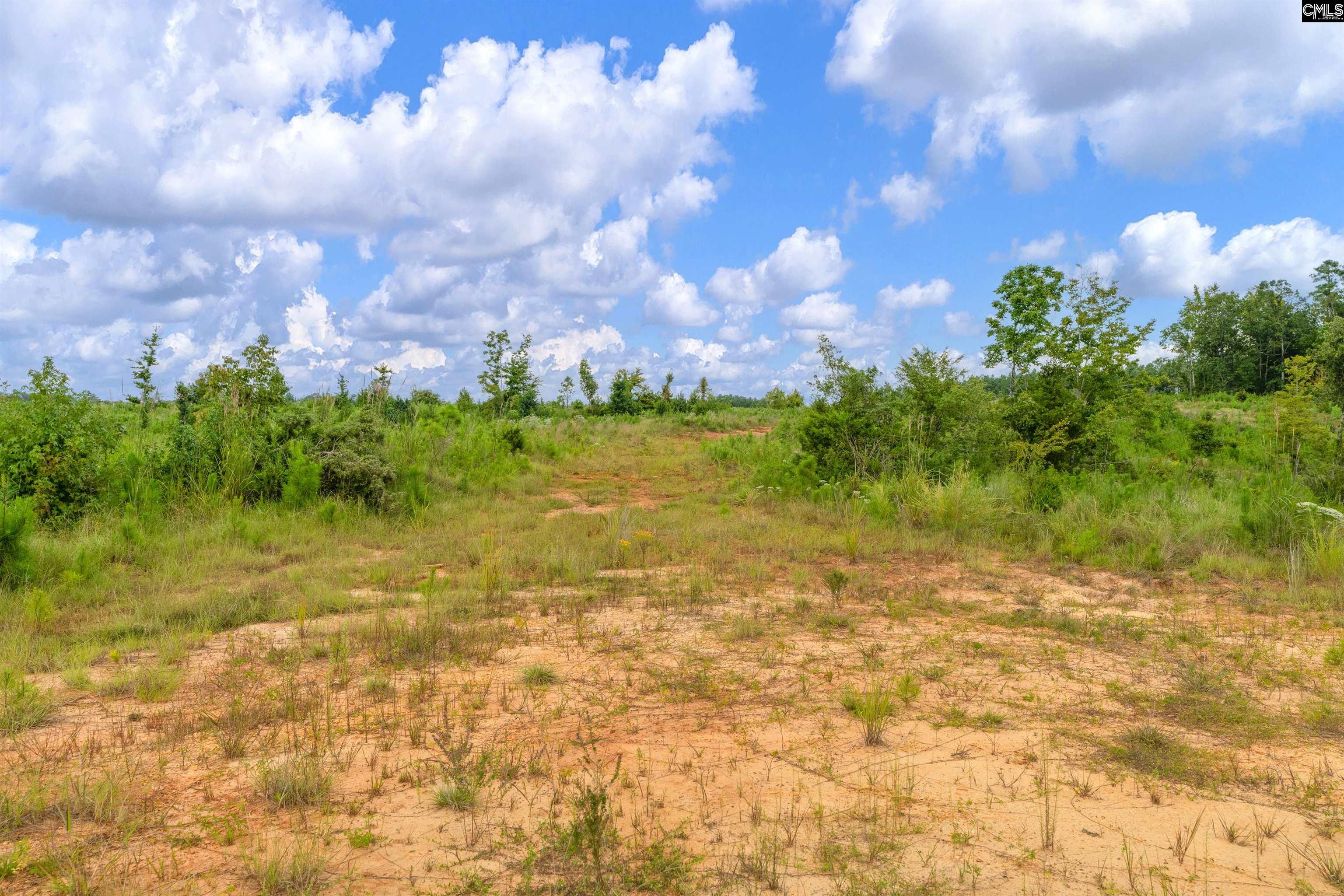 0 Penner Road, Unit 7 Jenkinsville, SC 29065 - Photo 33 of 36