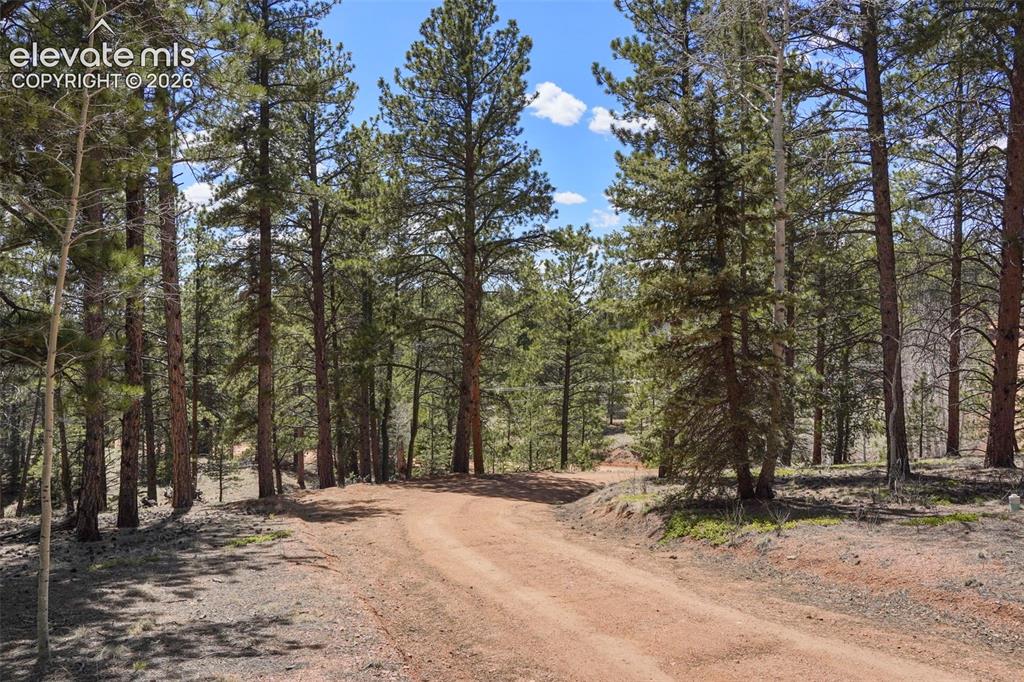 2450 Pathfinder Road Florissant, CO 80816 - Photo 22 of 29 Gallery Image 22