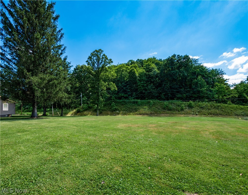 5245 Center Road Philo, OH 43771 - Photo 36 of 39 View of yard