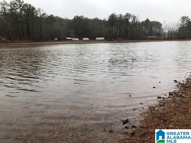 0 Lakeside Lane, Unit 31 Alpine, AL 35014 - Photo 27 of 42