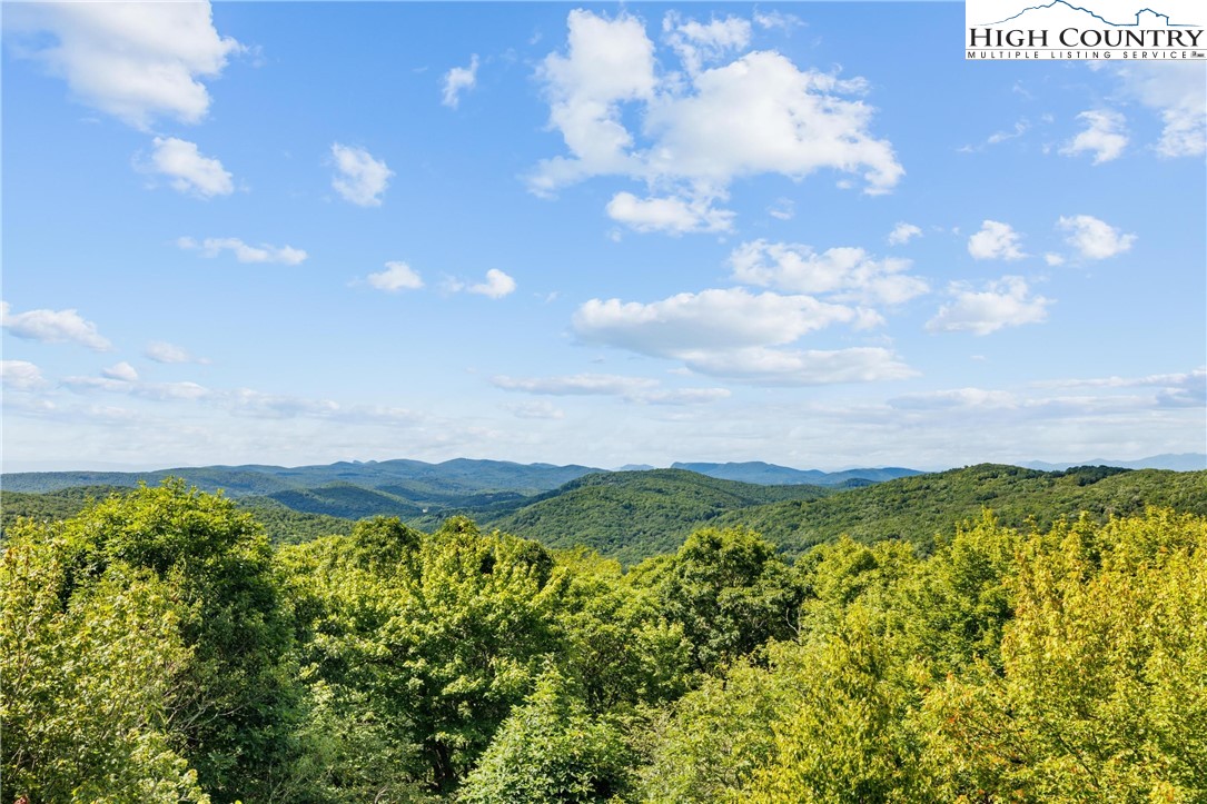 1705 Forest Ridge Drive Linville, NC 28646 - Photo 49 of 50