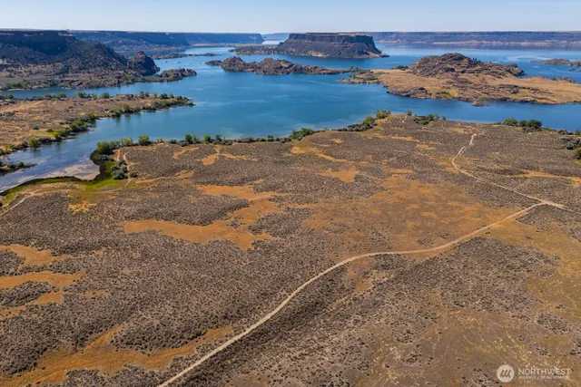 a view of a dry yard